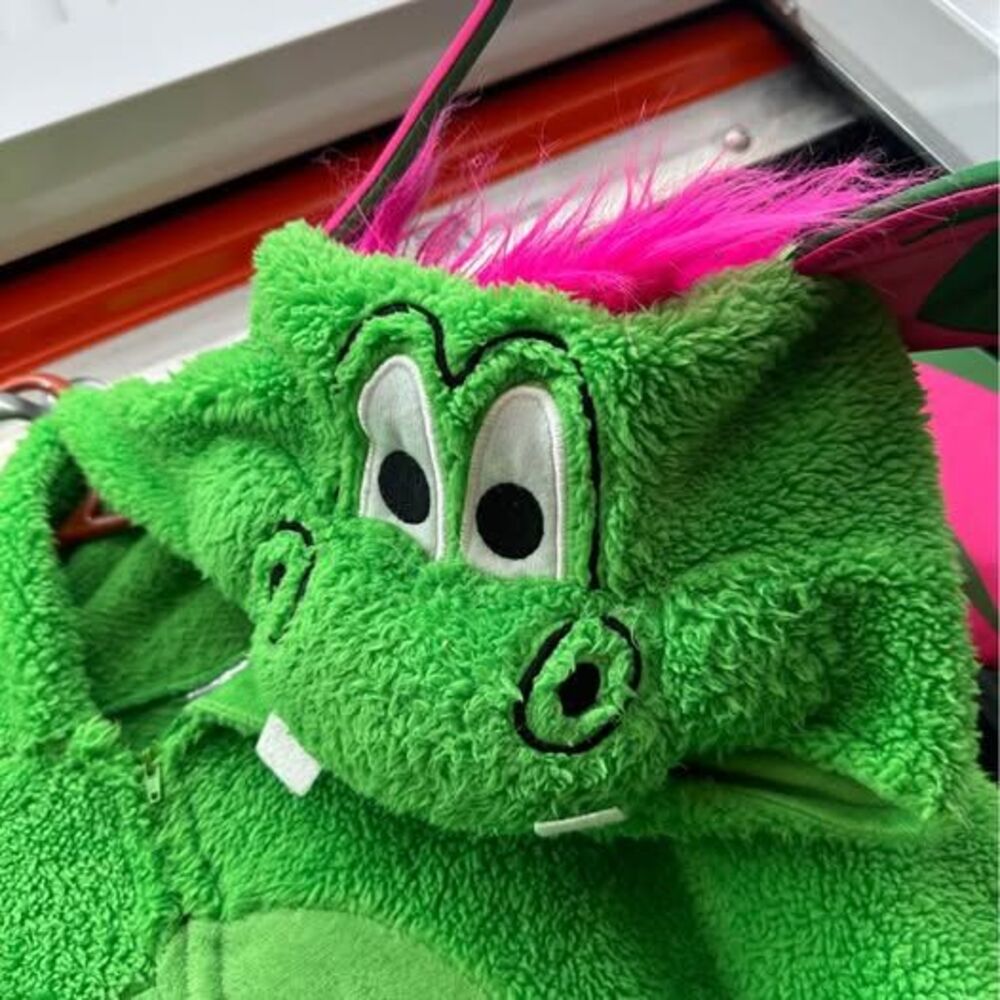 Adult medium Pete the Dragon costume Halloween green